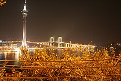 Macao by night